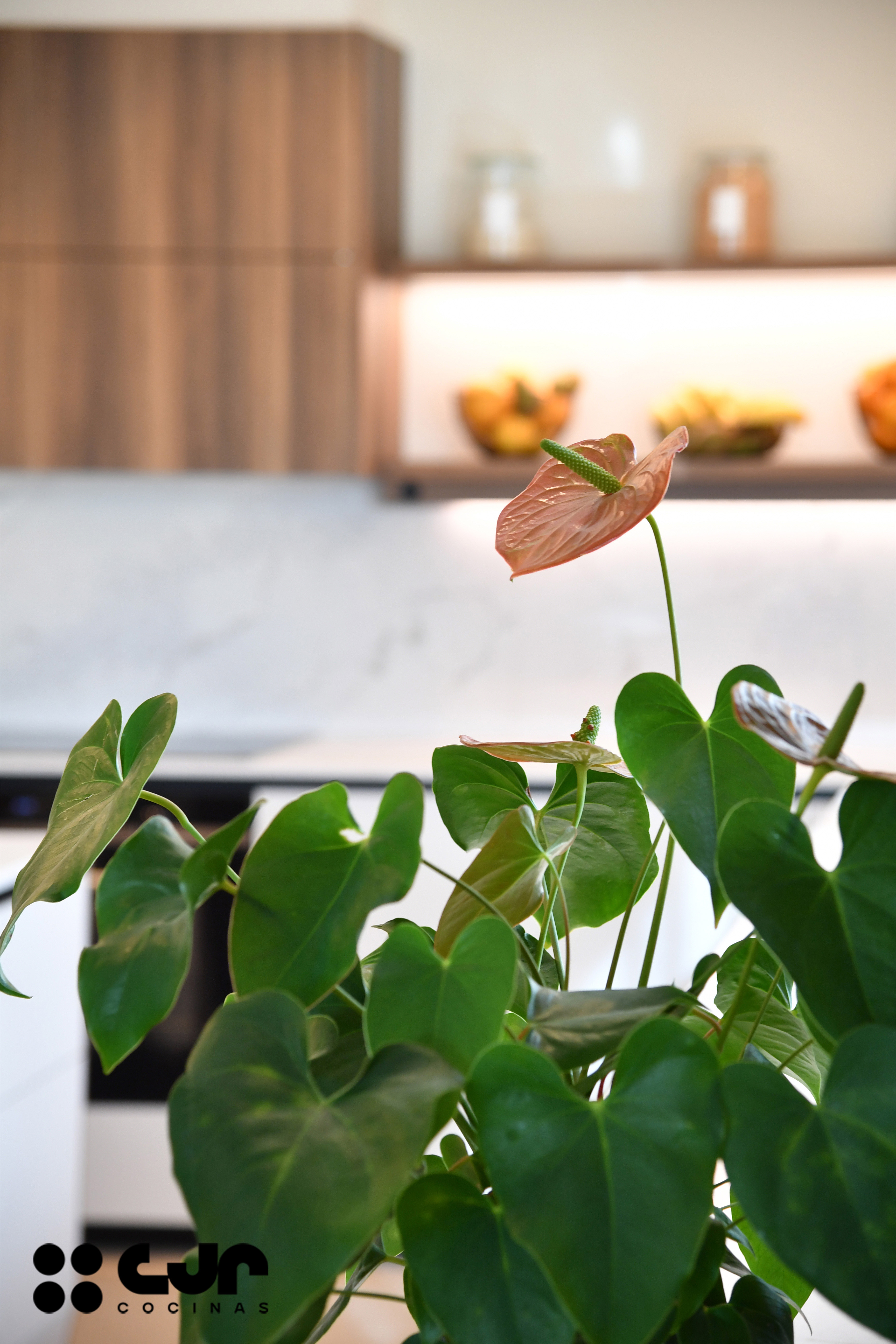 tendencias cocinas 2026 cocina cashmere y madera con isla abierta con isla cocinas cjr